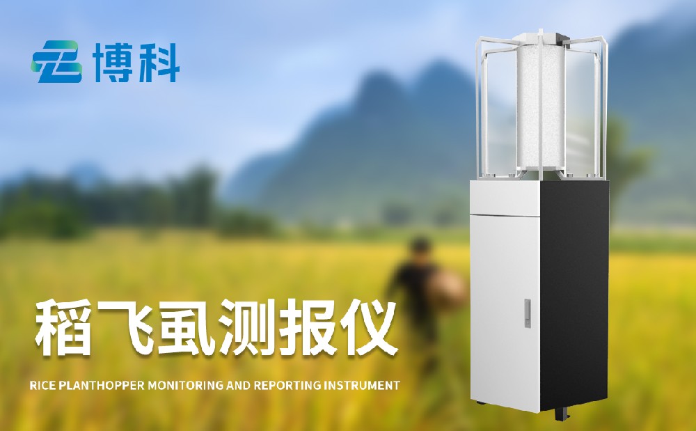 防治稻飛虱有哪些手段，稻飛虱測報儀