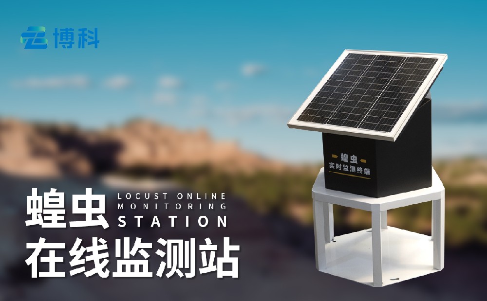 蝗蟲監測儀
