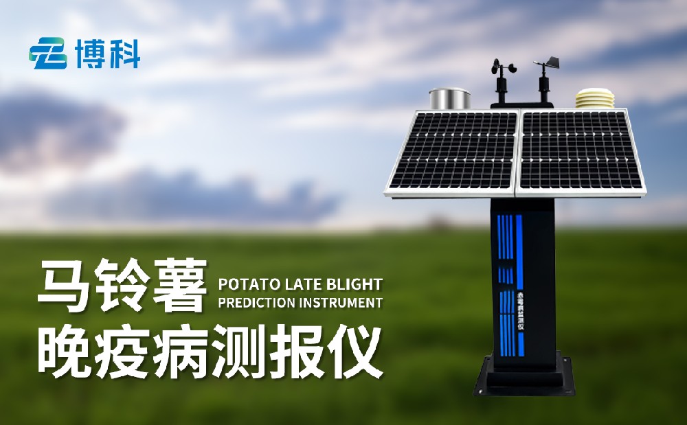馬鈴薯晚疫病監(jiān)測儀提升馬鈴薯病害治理能力