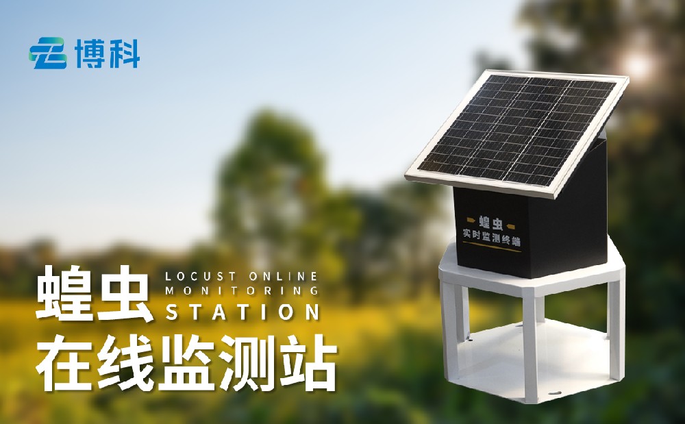 蝗蟲在線監(jiān)測站提升草原蝗蟲治理能力